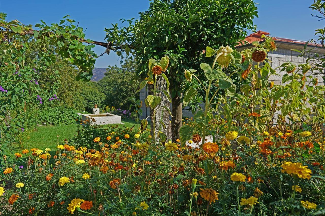 Casa Do Vale Guest House Fafe Exterior photo